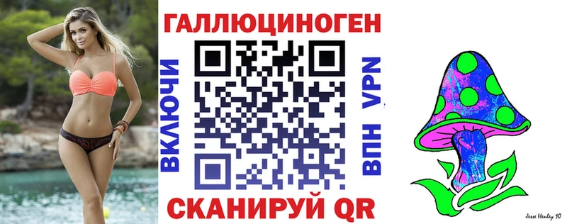 Галлюциногенные грибы GOLDEN TEACHER  Купить где  Ленинск-Кузнецкий 